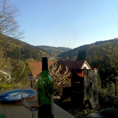 Fewo Pacohaus Naehe Willingen Diemelsee Brilon Extérieur photo