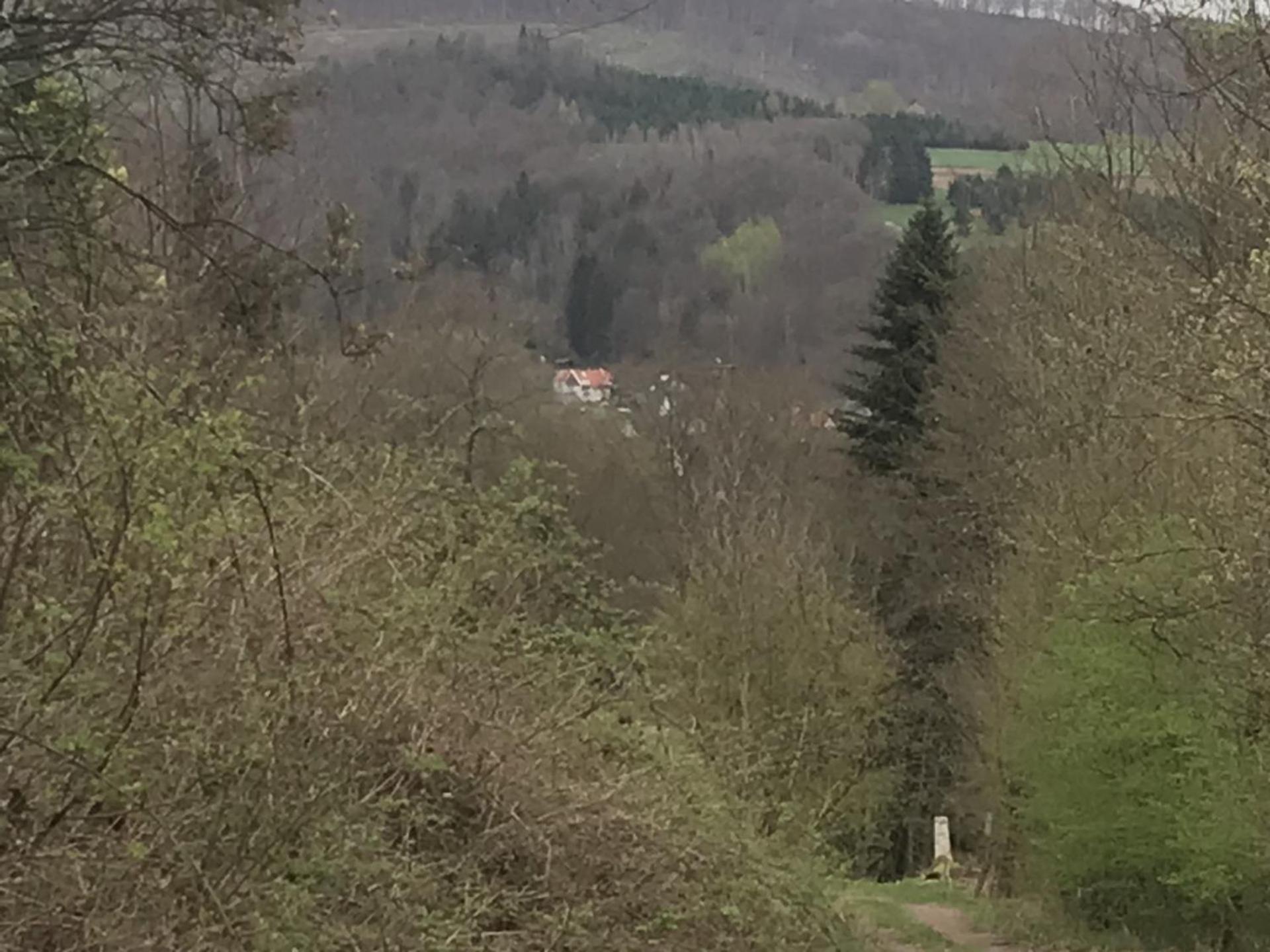 Fewo Pacohaus Naehe Willingen Diemelsee Brilon Extérieur photo