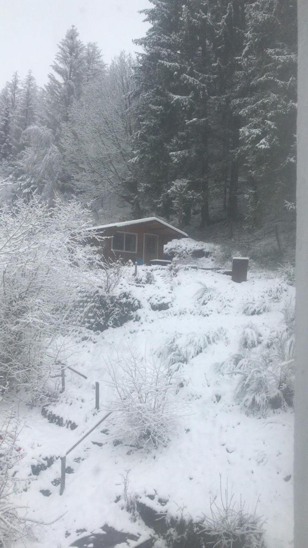 Fewo Pacohaus Naehe Willingen Diemelsee Brilon Extérieur photo